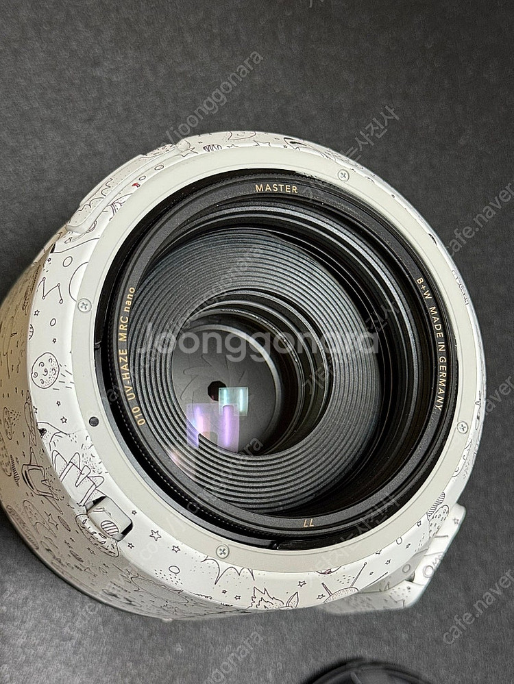 Canon RF 70-200mm f2.8 L--5