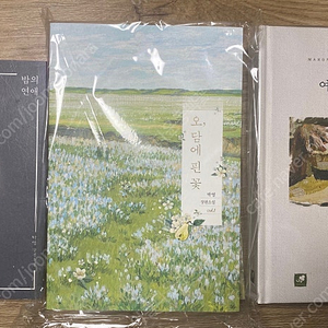 박영 로맨스소설 밤의 연애, 여름의 캐럴, 오 담에 핀 꽃