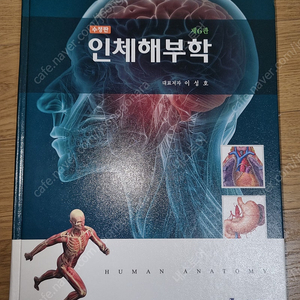 인체해부학 6판