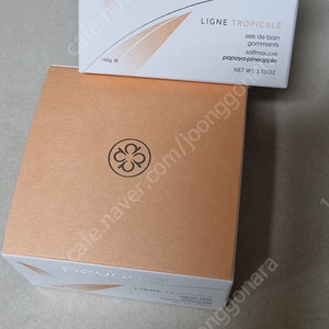 페보니아 솔트무스 파파야 파인애플 100g×2 미개봉 새상품