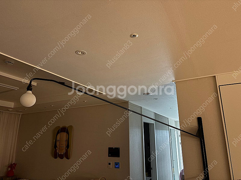 비트라 포텐스 정품--0