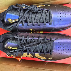 [US9, 270]코비5 에그플랜트 새상품 판매