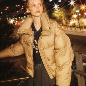 보브 샤인 구스다운 패딩점퍼 55size(베스.트로 변