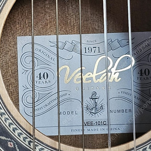 Veelah VEE-101C 기타