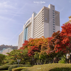 비발디파크 소노벨 스위트 파크뷰 10월5일~7일 2박 추석연휴