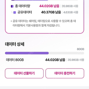 LG 유플러스 데이터 2기가