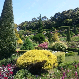 이디야 기분좋은 행운가득 세트 4,300원에 팔아요