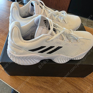 아디다스 프로바운2018[255]