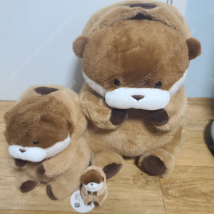 속았지 우소우소 대형팝니다