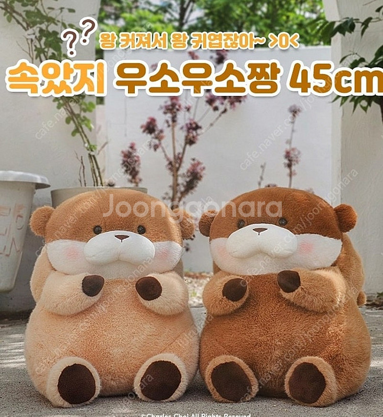 속았지 우소우소 대형팝니다--1