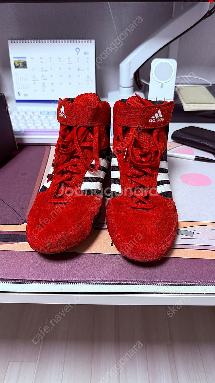 아디다스 복싱화 레슬링화 275 팔아요--0