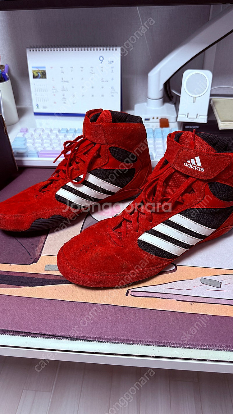 아디다스 복싱화 레슬링화 275 팔아요--1