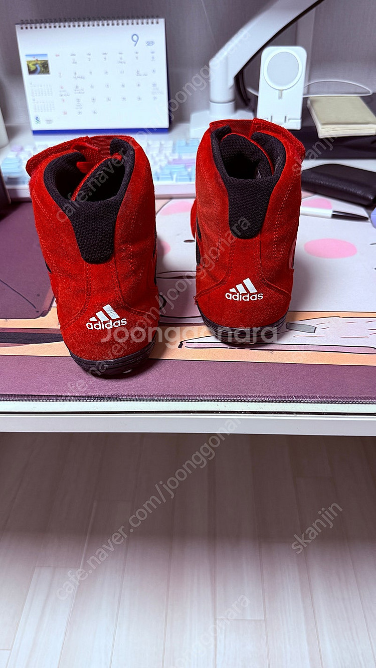 아디다스 복싱화 레슬링화 275 팔아요--2