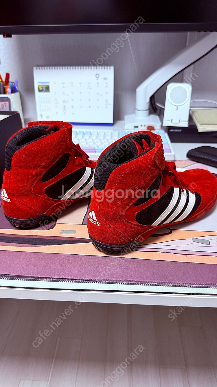 아디다스 복싱화 레슬링화 275 팔아요--3