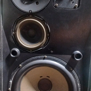 B&O (뱅엔올룹슨) beovox s-75