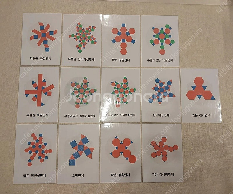 지오플릭 씨투엠 네오픽스--5