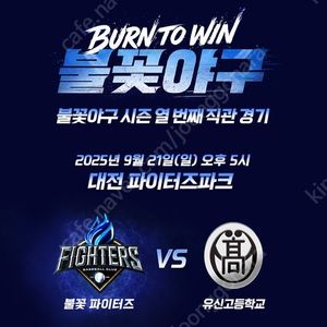 불꽃야구 대전 파이터즈 파크 포수 뒤 tv 석