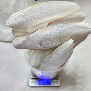 갑오징어뼈 판매합니다.
