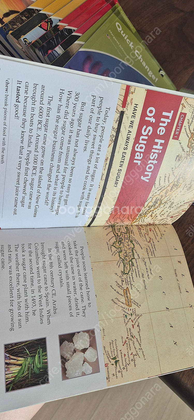 수퍼맘 캠브리지디스커버리 리더스--7