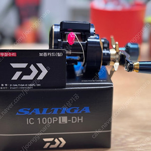 솔티가 IC 100PL