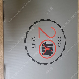 에어조던4 언디핏 265mm