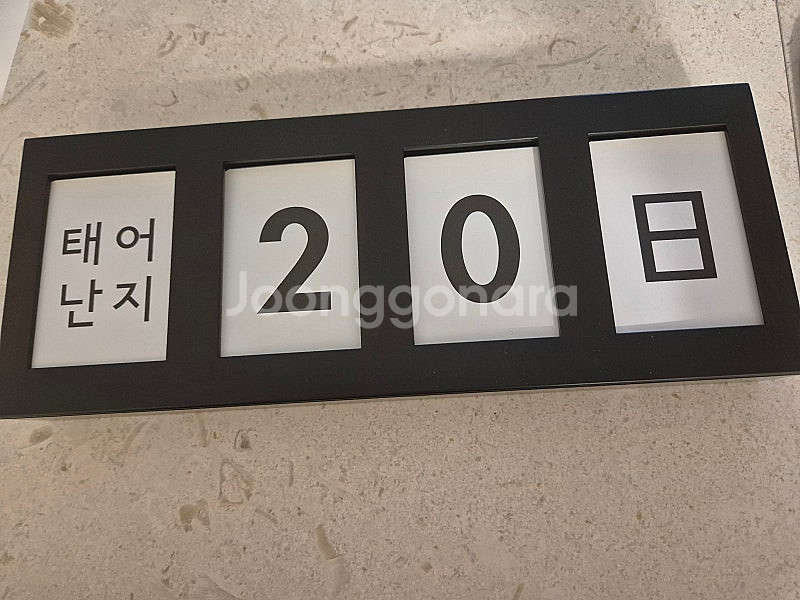 디데이달력--1