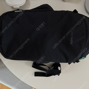 팩세이프 에코 12L 슬링백