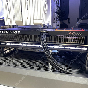 RTX 5080 만리 가야르도(Gallardo) 중고 판매(인텍)