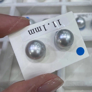 남양진주 11mm 14k 귀걸이 판매합니다.