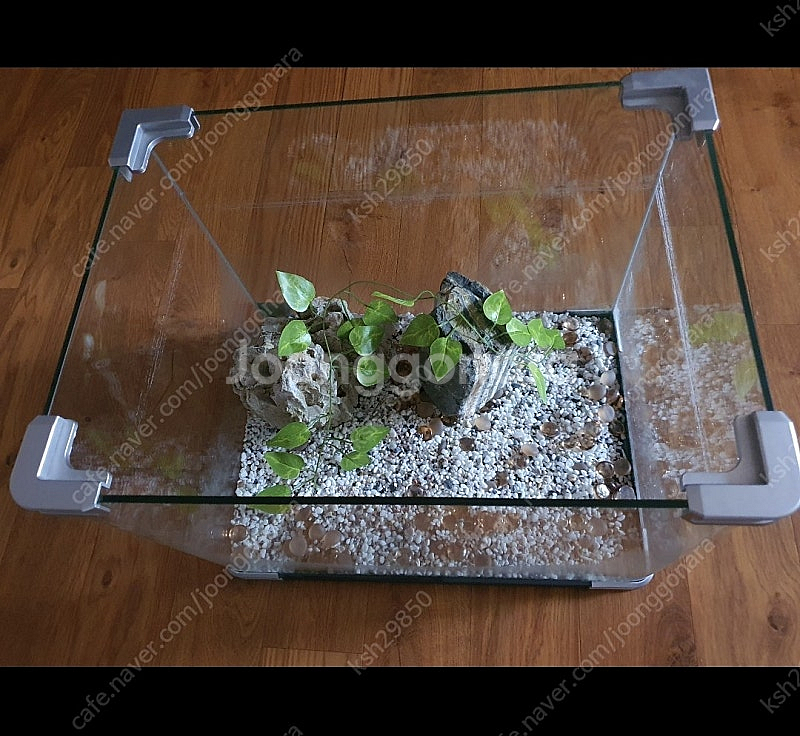 어항큼직함저렴히1만원예쁜돌+수족관바탕에흰돌+장식잎사귀등...--2