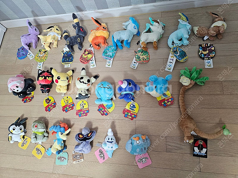 이브이 컬렉션, 판쵸 이브이, 포켓몬돌즈(누리공, 따라큐 등), 포켓몬핏(에몽가, 터검니, 아보크 등) 등 일본 포...--1