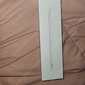 애플펜슬 USB-C 모델명 MUWA3KH/A