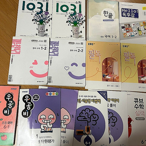 개념원리 중학수학 (1-2, 2-2), EBS필독 중학국어1, 한끝 중등국어 1-2, 1031 사고력 수학 중급, 우공비 국어 6-1, 홈런 큐브수학 6-1 등