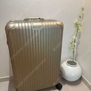 리모와 오리지널 체크인L 티타늄골드 색상
