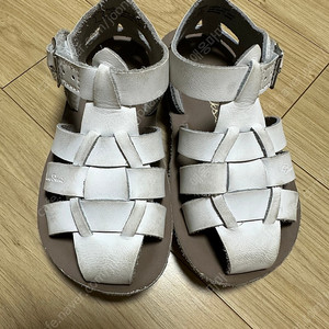 솔트워터 8