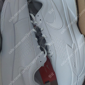 (290)새제품 지티컷 아카데미 트리플화이트 나이키 농구화 8.5만원