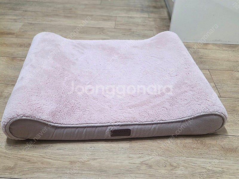 강아지 척추침대--0