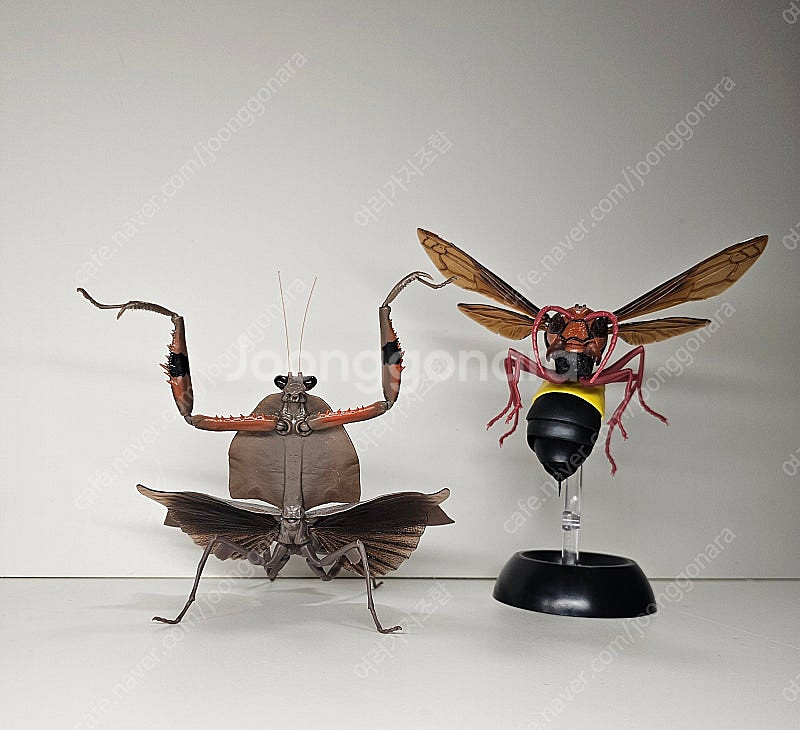 생물대도감 말벌 사마귀 악마꽃 사마귀--1