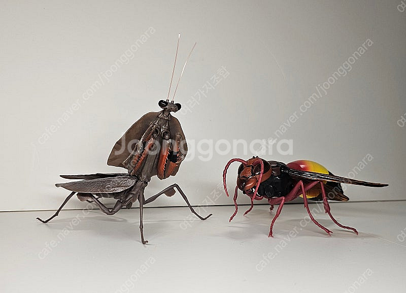 생물대도감 말벌 사마귀 악마꽃 사마귀--2