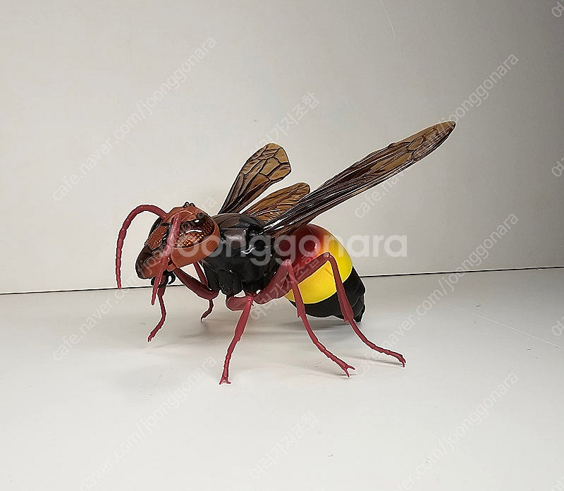 생물대도감 말벌 사마귀 악마꽃 사마귀--7