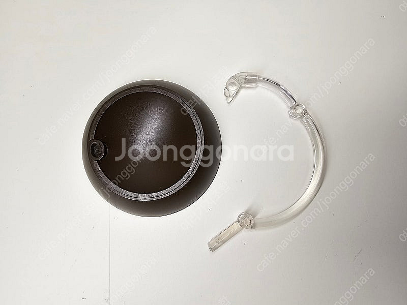 생물대도감 말벌 사마귀 악마꽃 사마귀--0