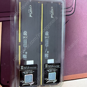 마이크론 크루저 ddr5 5600 16g *2 팝니다