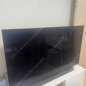 LG OLED 48인치 TV