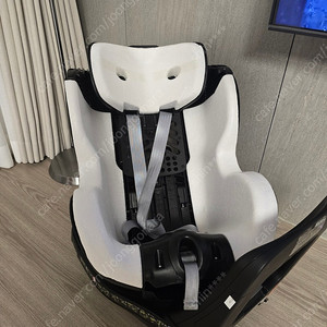 브라이텍스 듀얼픽스 i-size 카시트