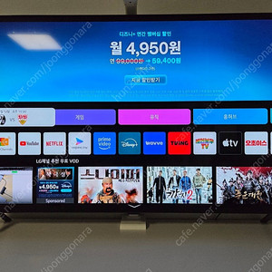 OLED48B4NNA 올레드 TV 팝니다.
