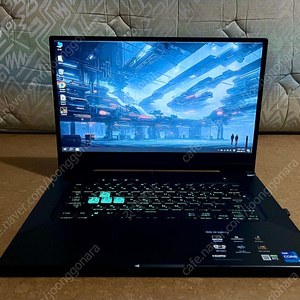 아수스 TUF RTX 3060, i7-11370H 게이밍노트북