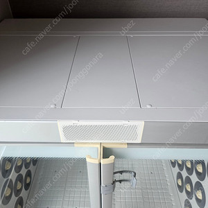 붐펫w400