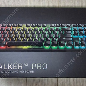레이저 데스스토커 V2 PRO