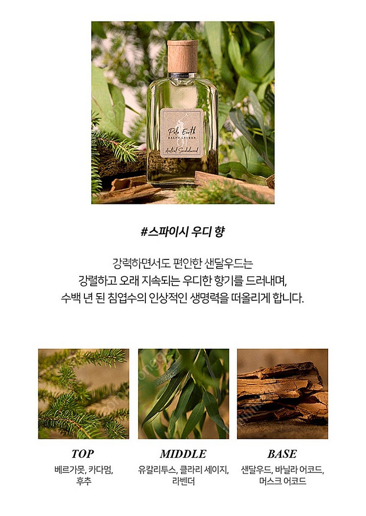 폴로 어스 샌달우드 edp 100ml 새거--2