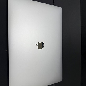 최고성능 맥북프로 16인치 2019 i9 64g 1tb 마지막 윈도우 구동 가능모델